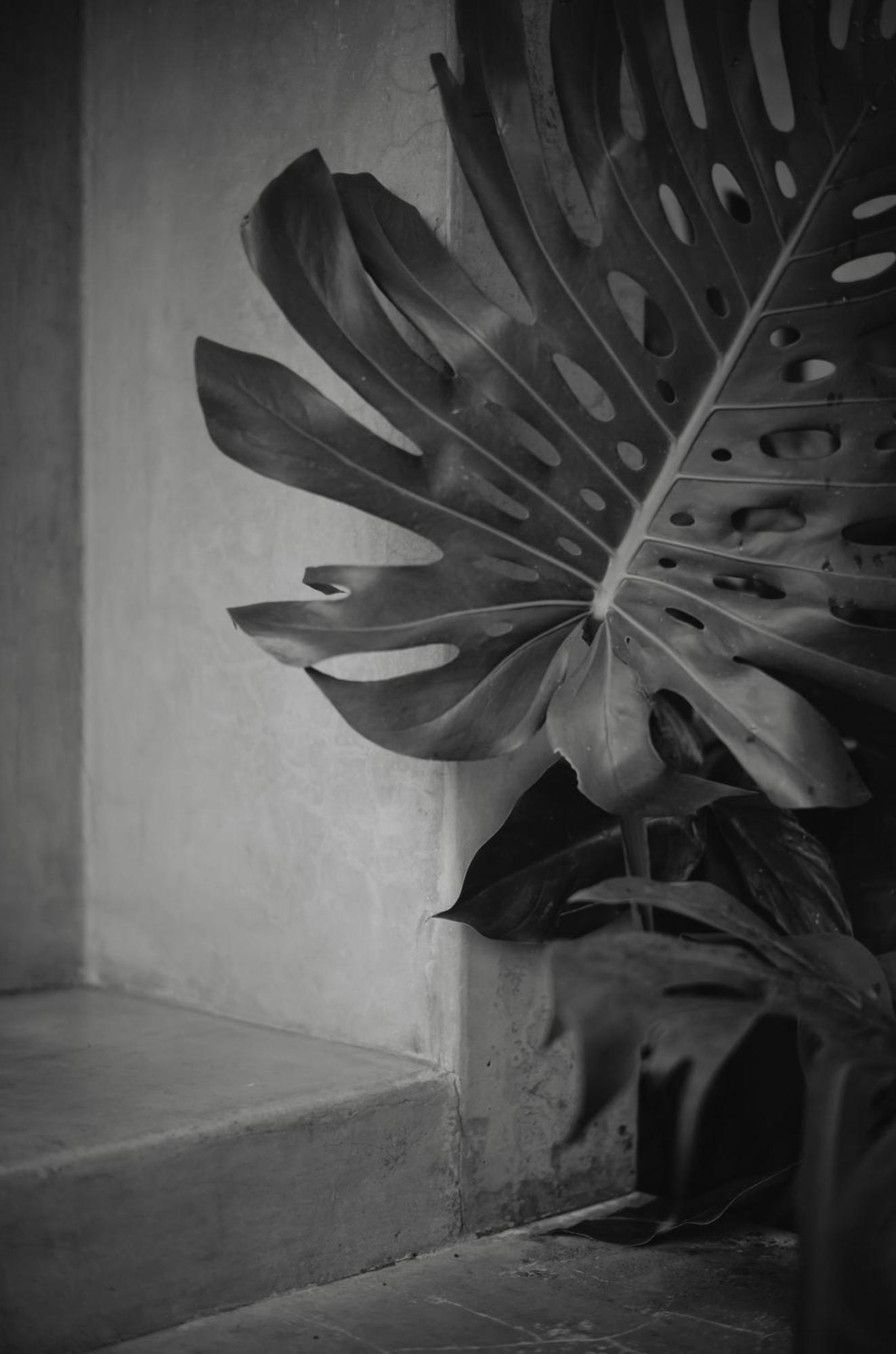 Anzan Atitlan Bed & Breakfast ซาน มาร์กอส ลา ลากูนา ภายนอก รูปภาพ
