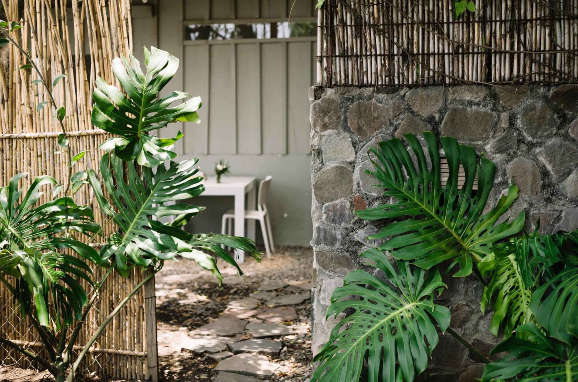 Anzan Atitlan Bed & Breakfast ซาน มาร์กอส ลา ลากูนา ภายนอก รูปภาพ